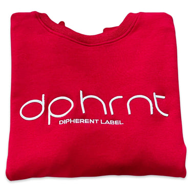Unisex "DPHRNT" 3D Embroidery Sweatshirt